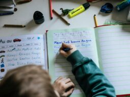 Guiding the Path to Achievement How Learning Disability Consultants Transform Educational Journeys