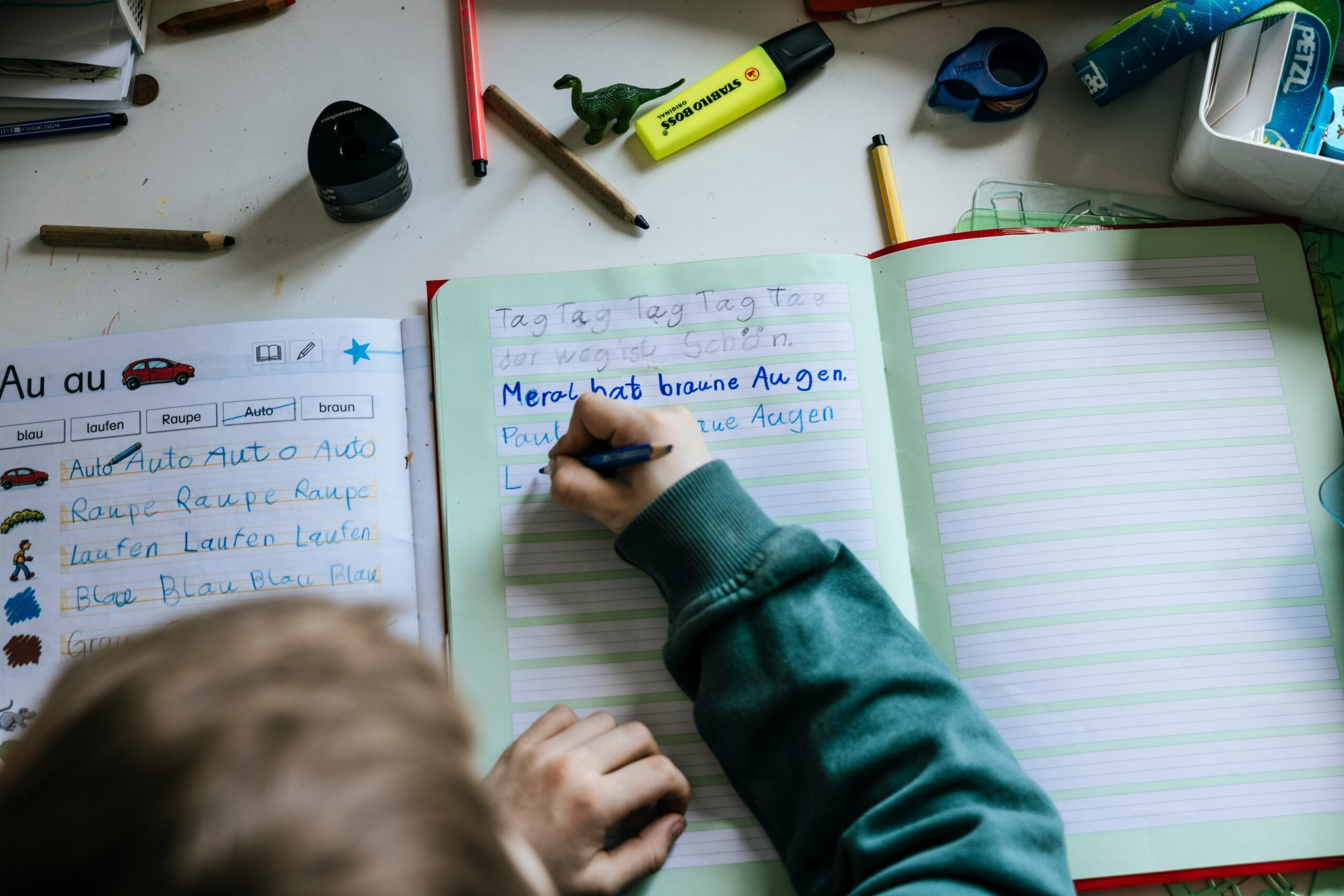 Guiding the Path to Achievement How Learning Disability Consultants Transform Educational Journeys